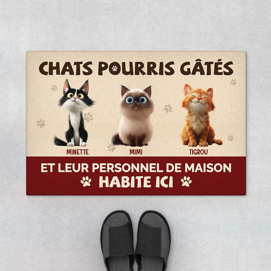 5536DFR1 paillasson personnalise chat chat gate pourri 5536dtqad