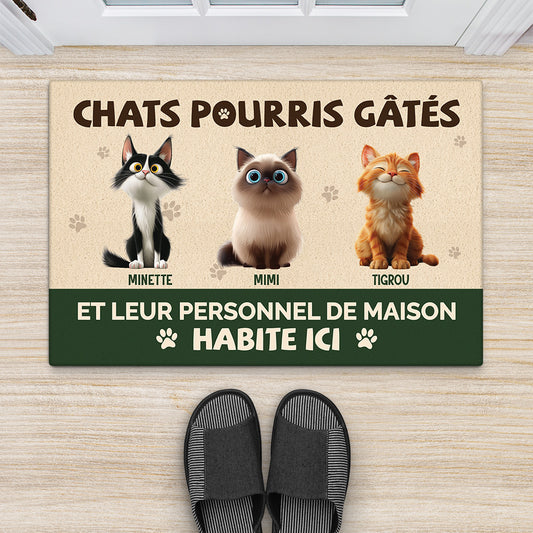 5536DFR2 paillasson personnalise chat chat gate pourri 5536dtqad