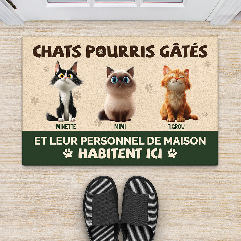 5536DFR2 paillasson personnalise chat chat gate pourri 5536dtqad_d5a1686b d54b 4bb3 8bf5 4529aa11d744