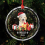 5571OFR1 ornement en verre personnalise chien avec photo le noel de mon chien 5571okvac