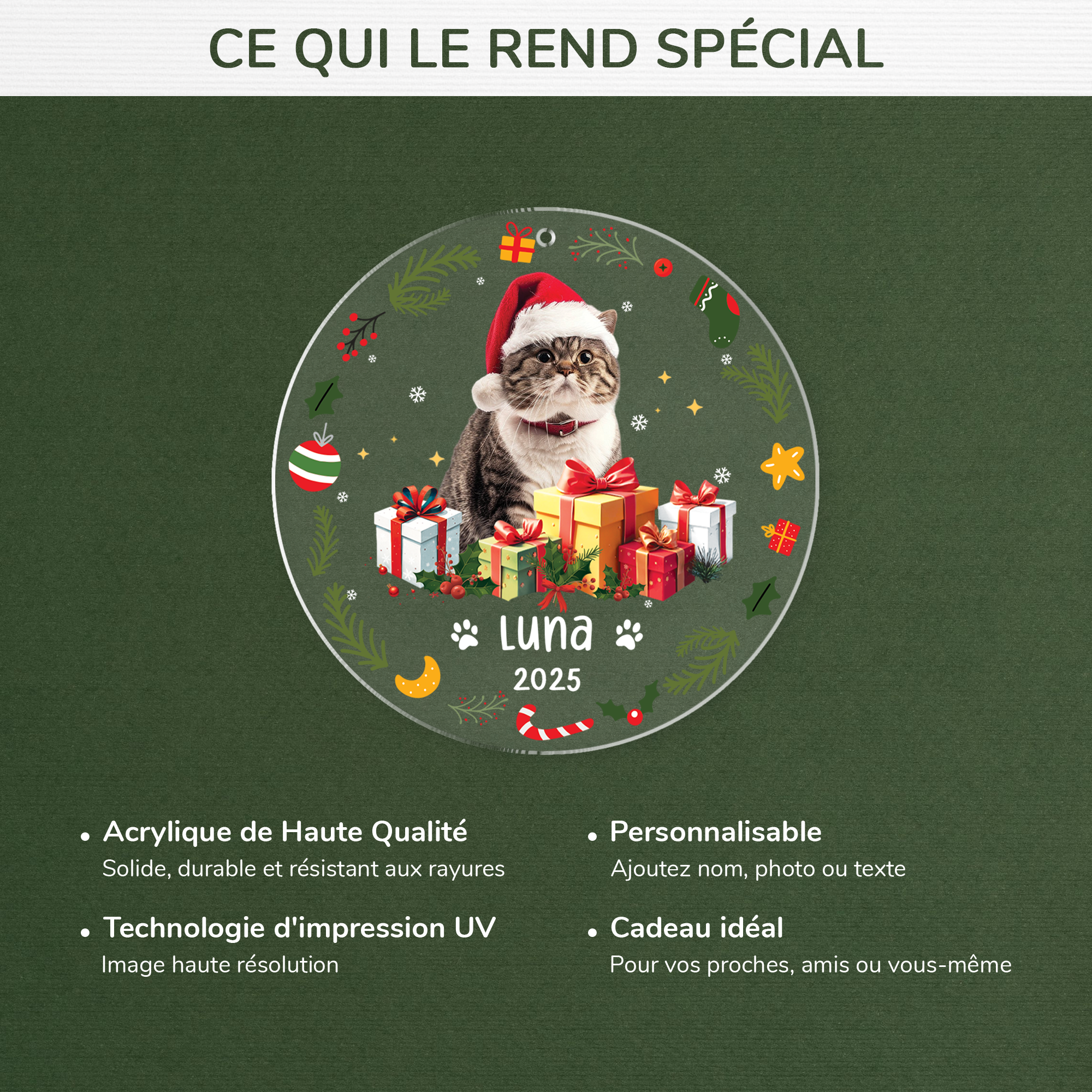 5571OFR4 ornement acrylique personnalise avec photo le noel de mon chat 5571okz5d