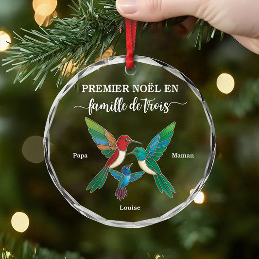 5578OFR2 ornement en verre personnalise ensemble nous formons une famille oiseaux 5578o6qni