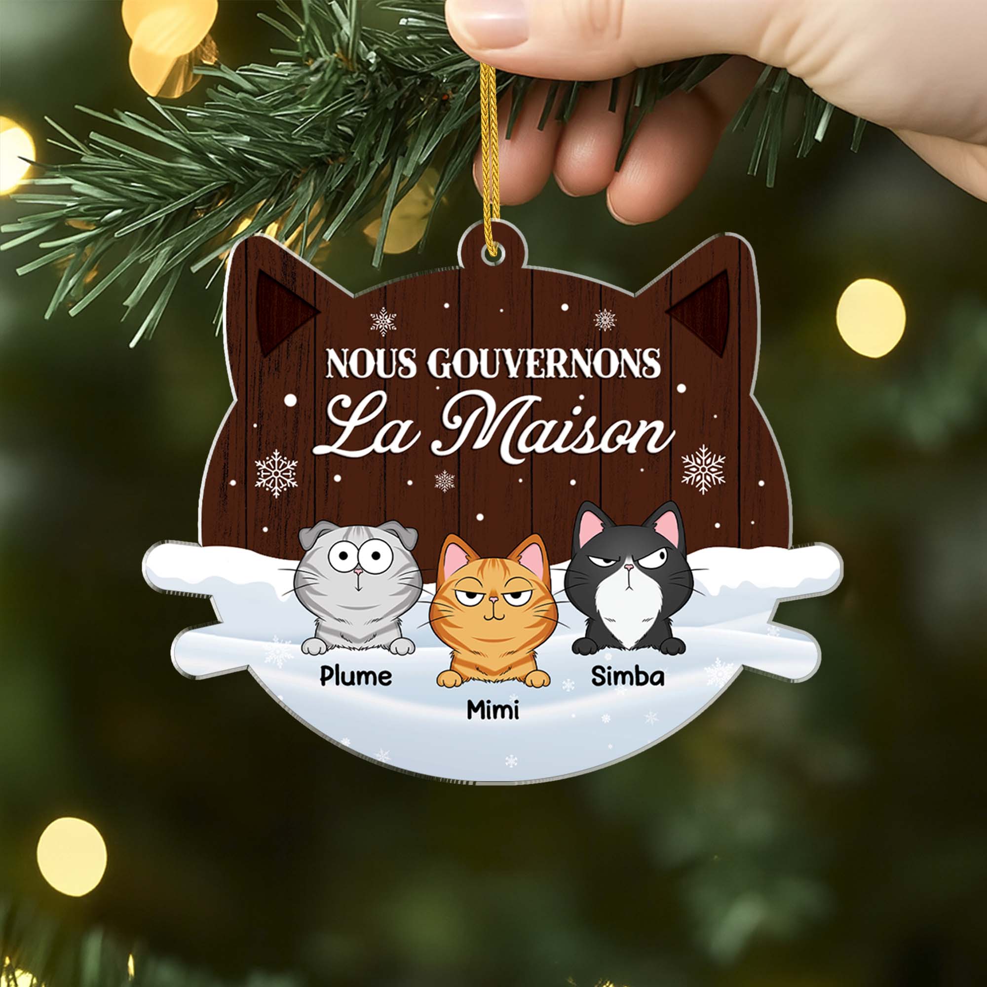 5604OFR2 ornement noel en acrylique personnalise chat nous gouvernons la maison verson neige 5604o3ytd