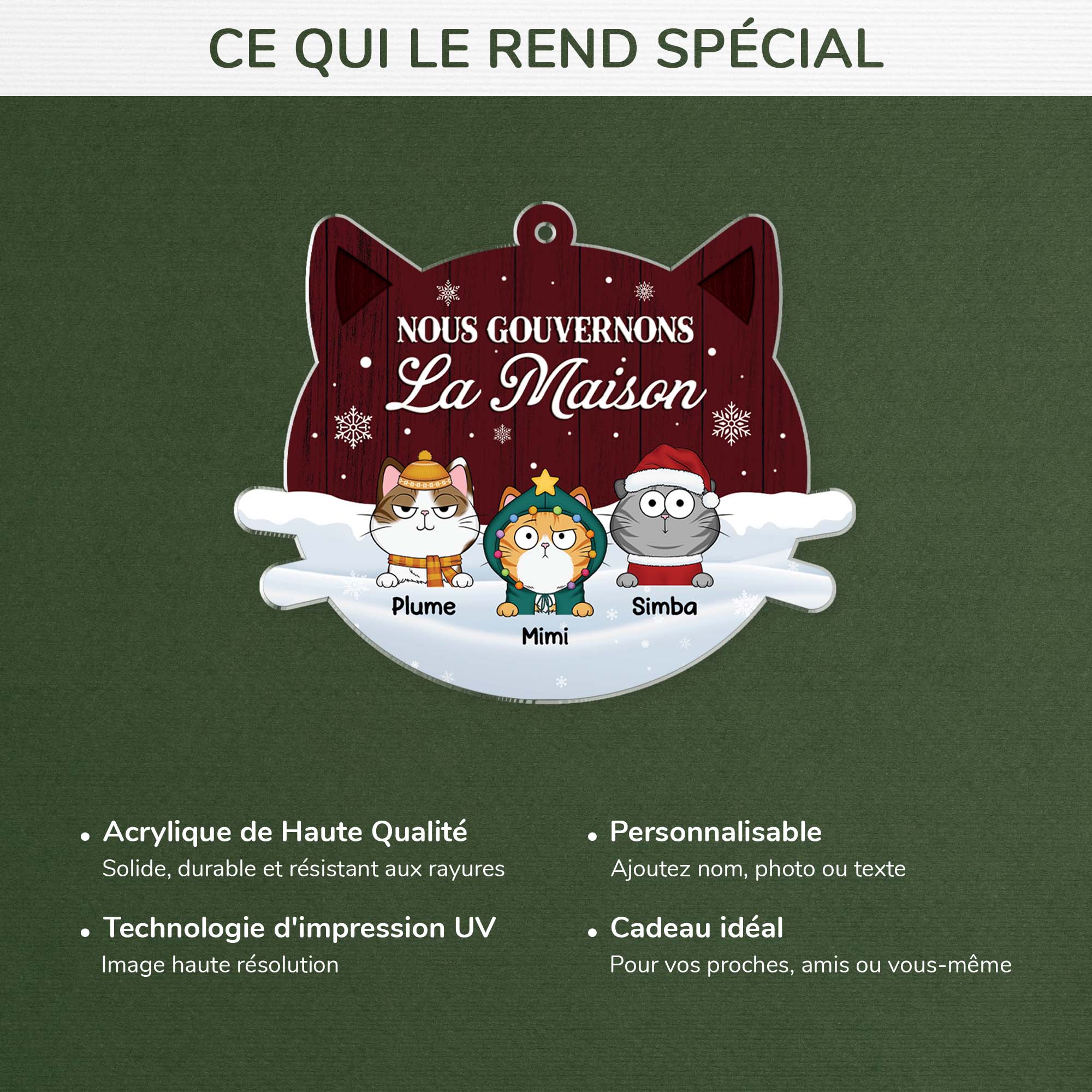 5604OFR4 ornement noel en acrylique personnalise chat nous gouvernons la maison verson neige 5604o3ytd