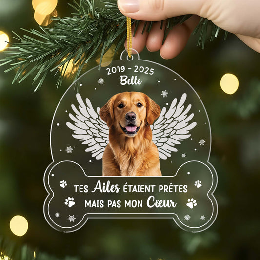 5647OFR2 ornement acrylique chat commemoratif personnalise avec photo mon adieu le plus difficile 5647okyzd