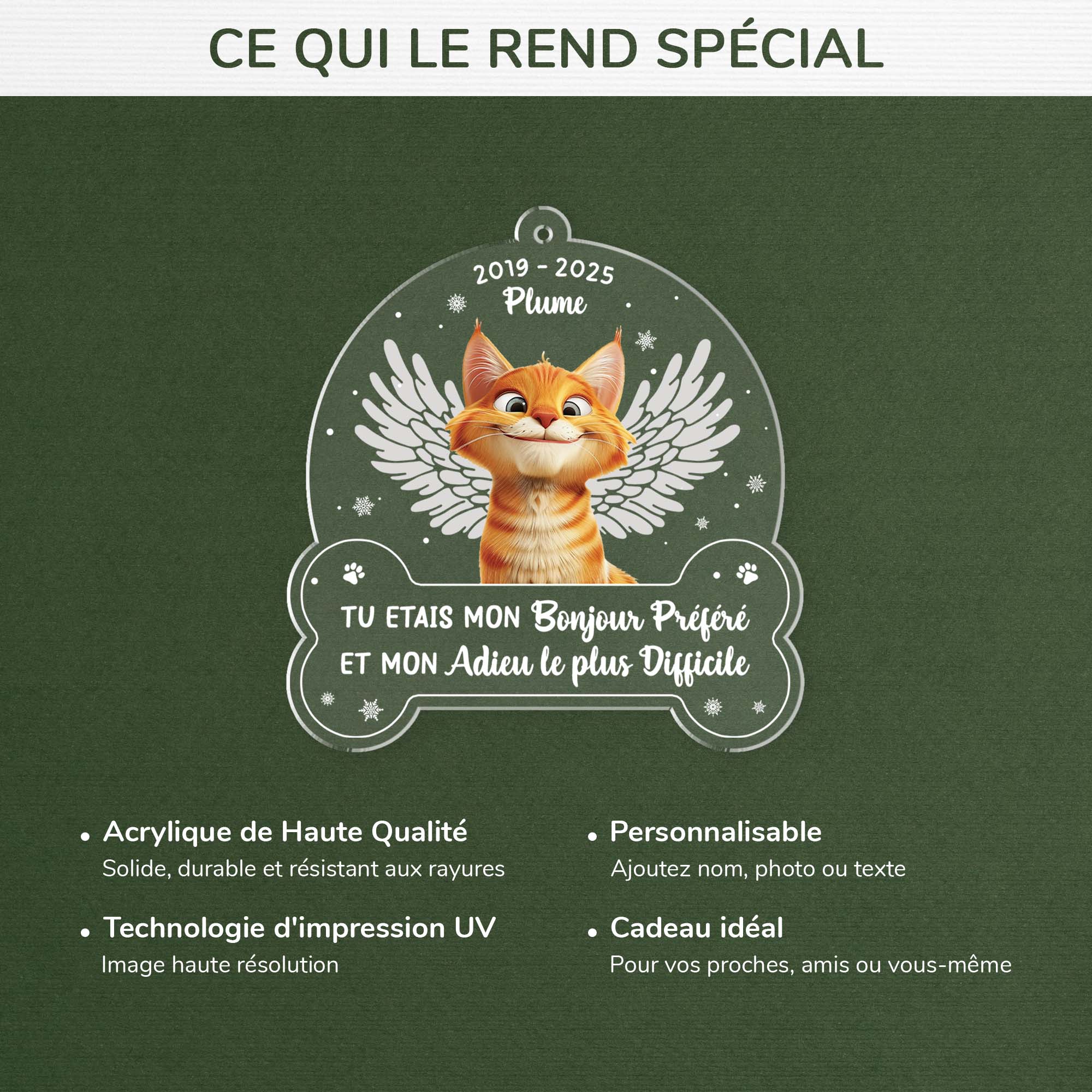 5647OFR4 ornement acrylique chat commemoratif personnalise avec photo mon adieu le plus difficile 5647okyzd