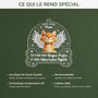 5647OFR4 ornement acrylique chat commemoratif personnalise avec photo mon adieu le plus difficile 5647okyzd