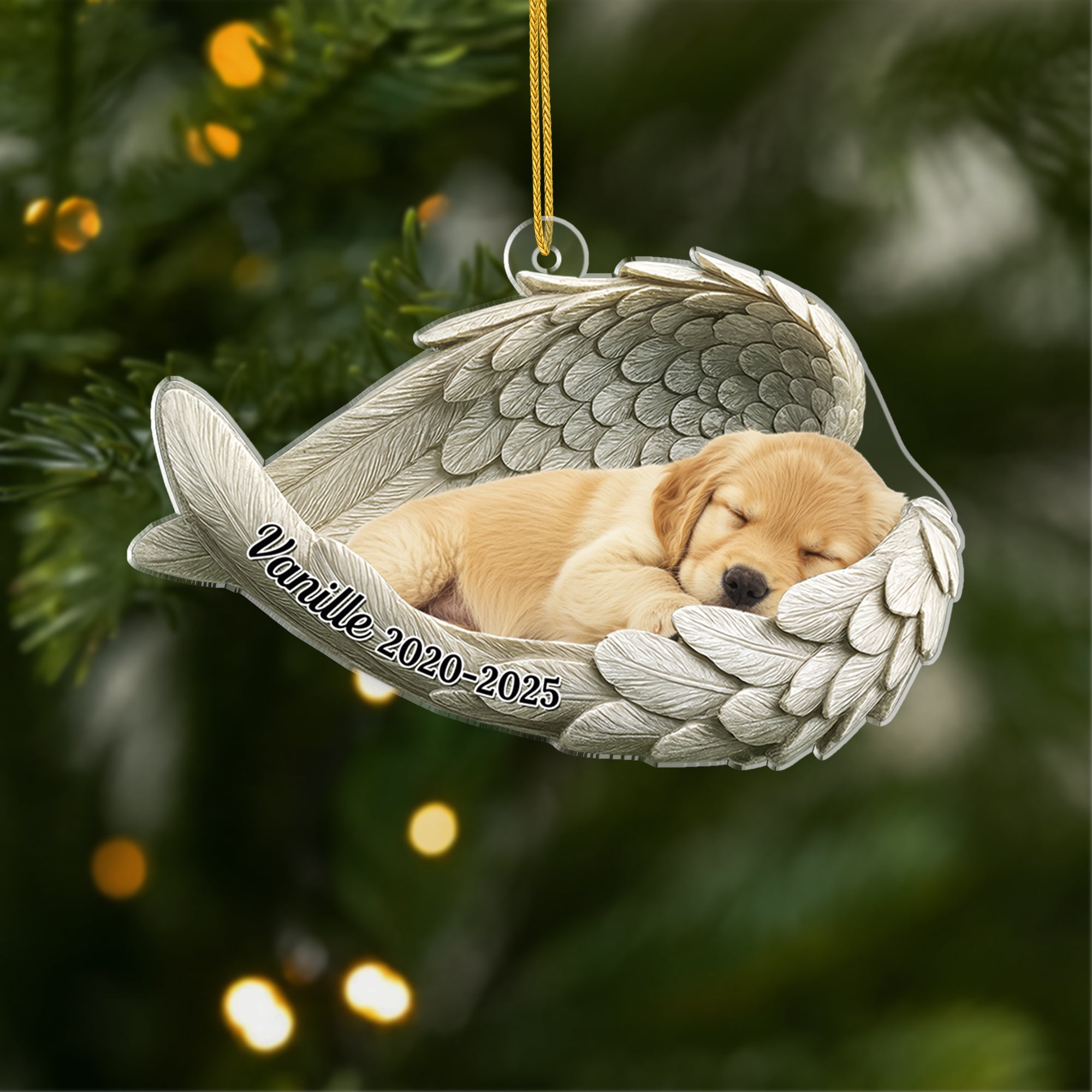 5697OFR1 ornement acrylique personnalise commemoratif chat chien avec photo mon ange 5697o8qnc