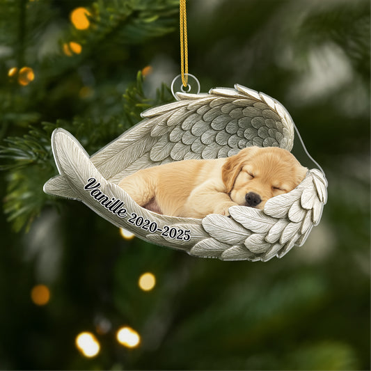 5697OFR1 ornement acrylique personnalise commemoratif chat chien avec photo mon ange 5697o8qnc