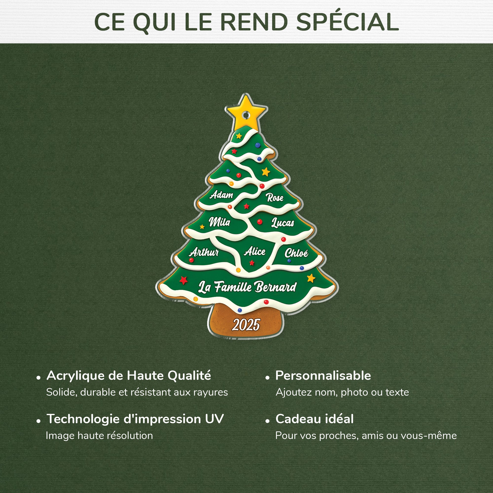 5741OFR4 ornement de noel acrylique personnalise sapin avec prenoms de famille 5741ottmi