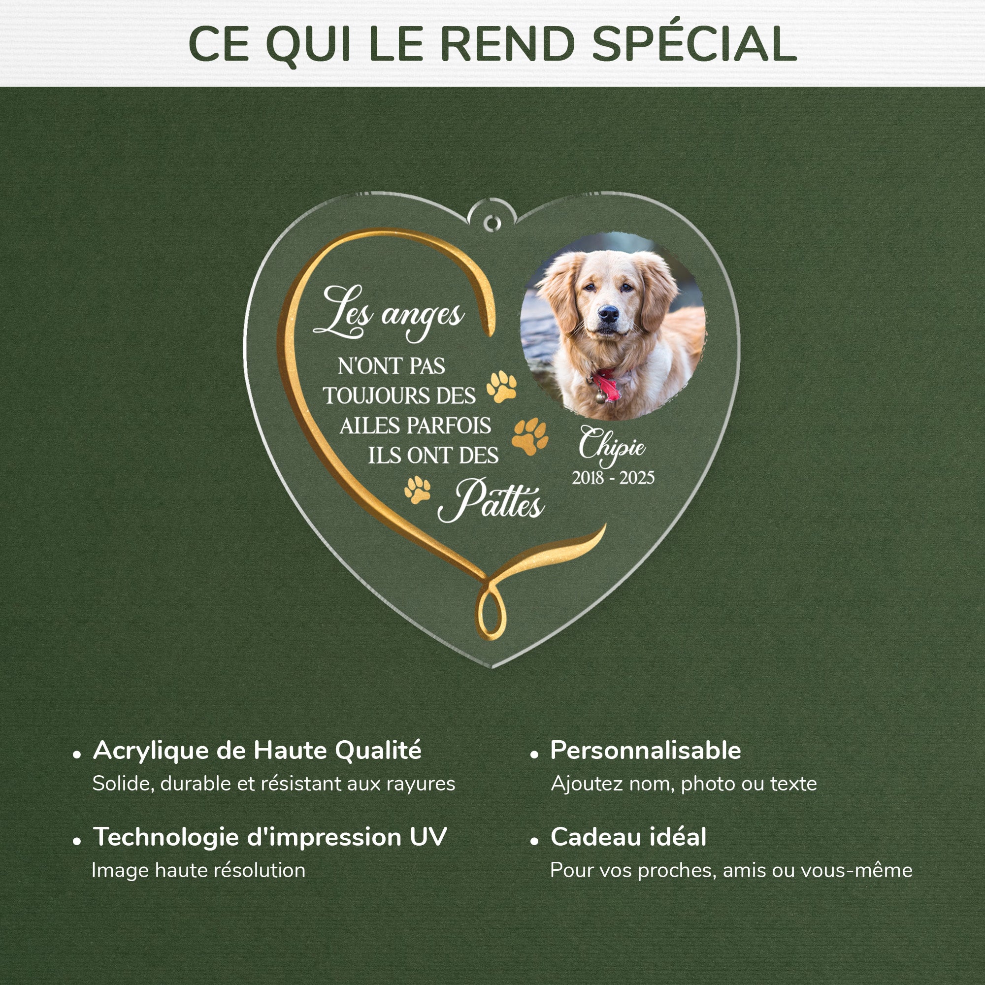5769OFR4 ornement acrylique personnalise commemoratif pour chat et chien les anges qui ont des pattes 5769o8umc