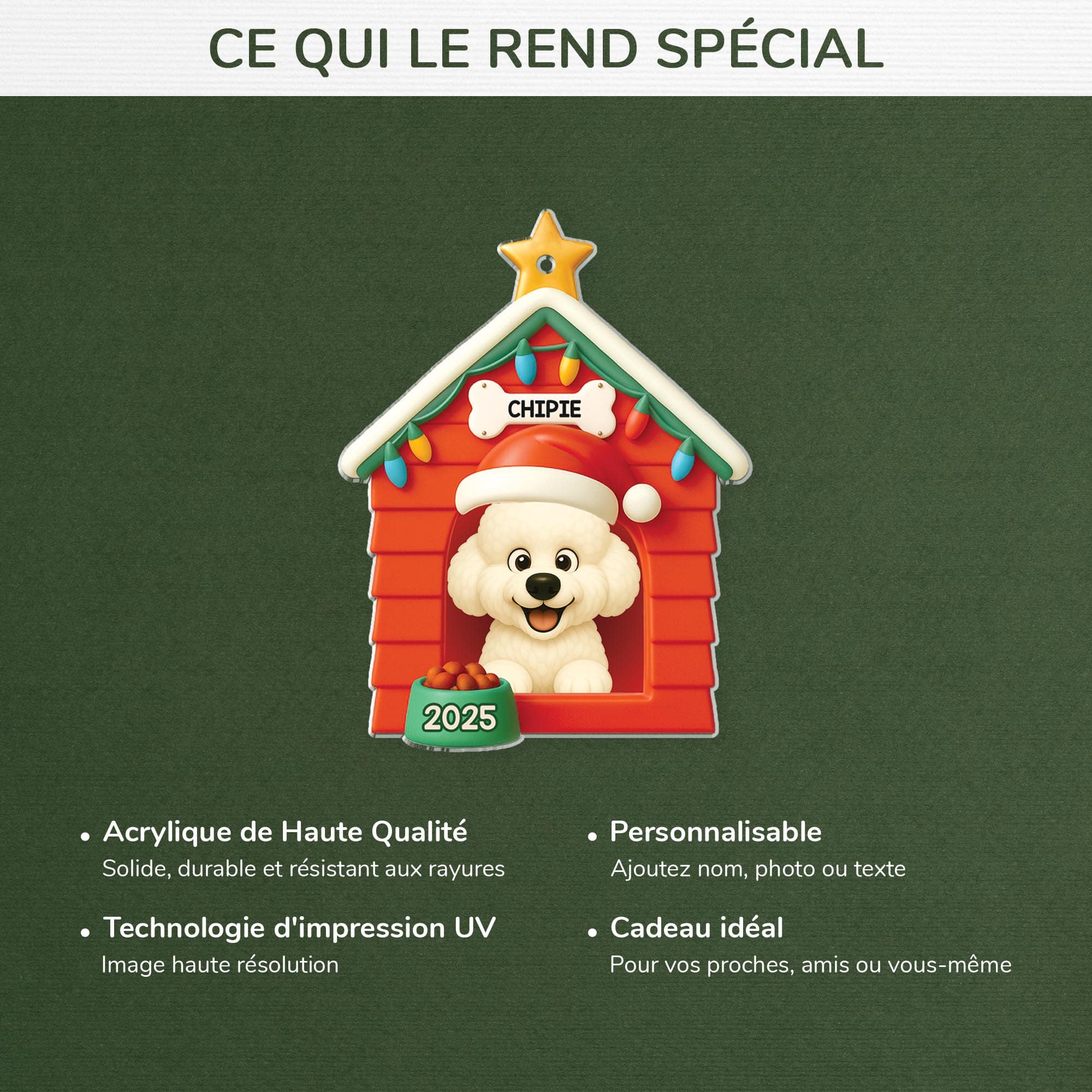 5824OFR4 effet dimpression 3d ornement noel acrylique personnalise avec photo la maison de mon chien 5824okzcc min