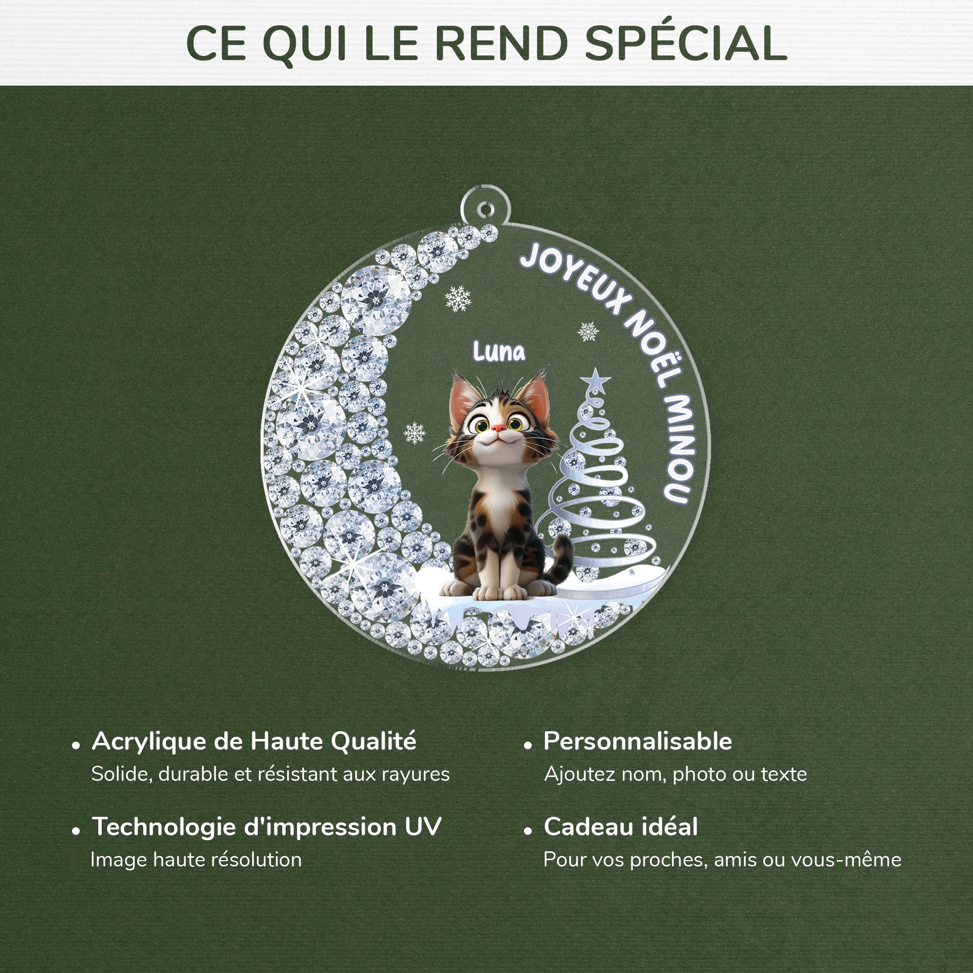 5867OFR4 effet dimpression 3d ornement acrylique personnalise chat joyeux noel minou 5867okqmd
