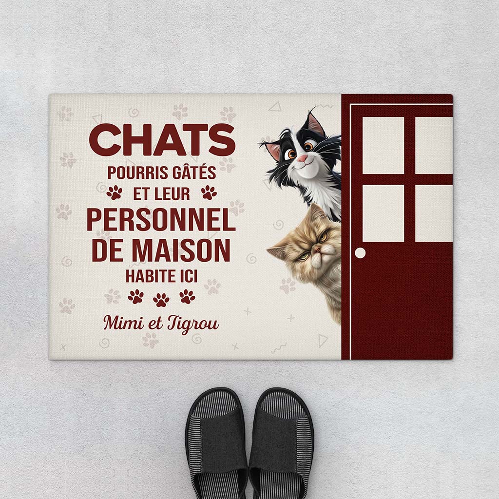 5870DFR1 paillasson personnalise le chat gate pourri habite ici 5870d8ztd