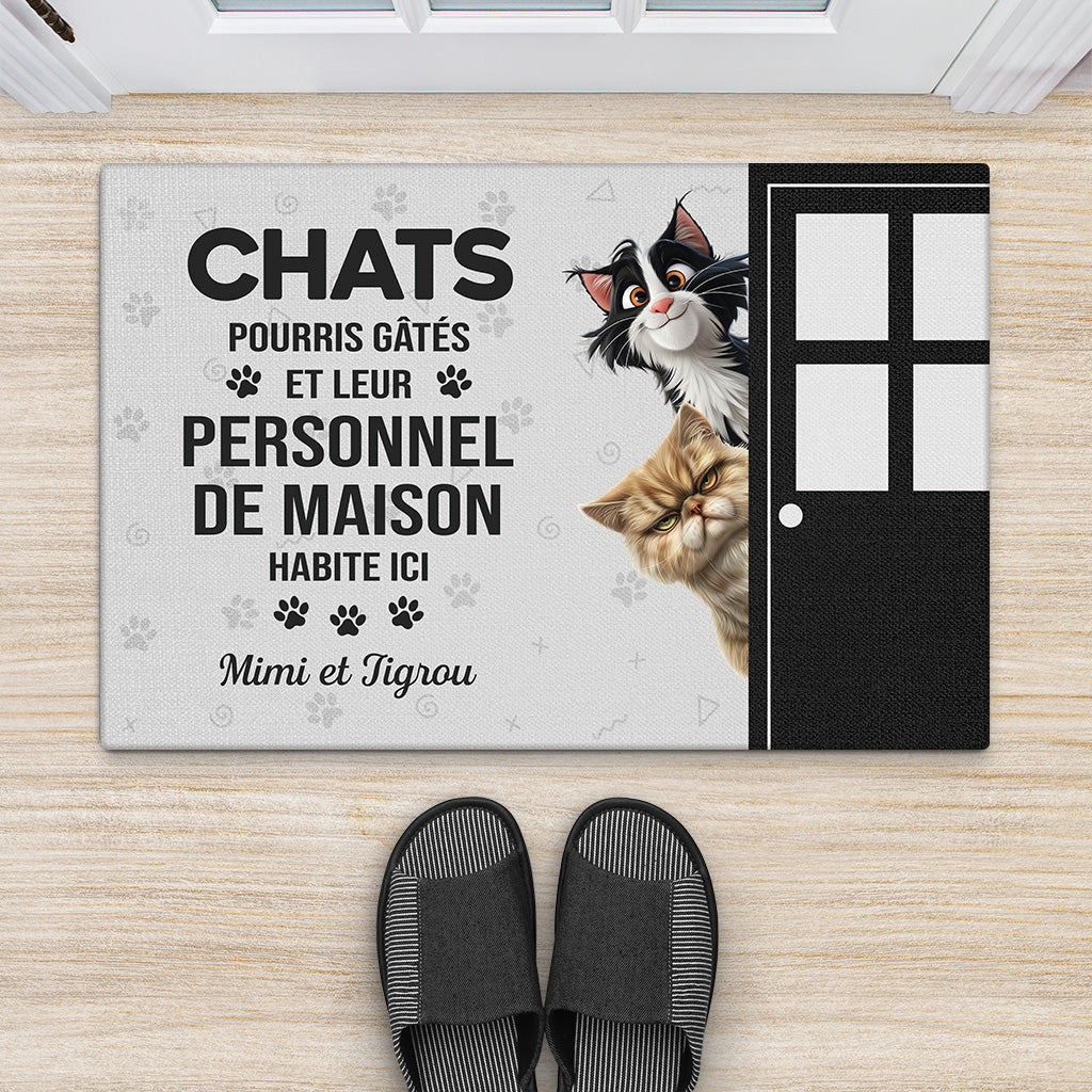 5870DFR2 paillasson personnalise le chat gate pourri habite ici 5870d8ztd