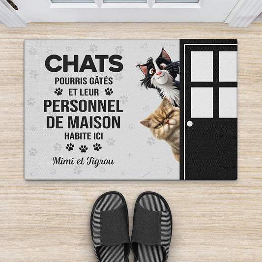 5870DFR2 paillasson personnalise le chat gate pourri habite ici 5870d8ztd
