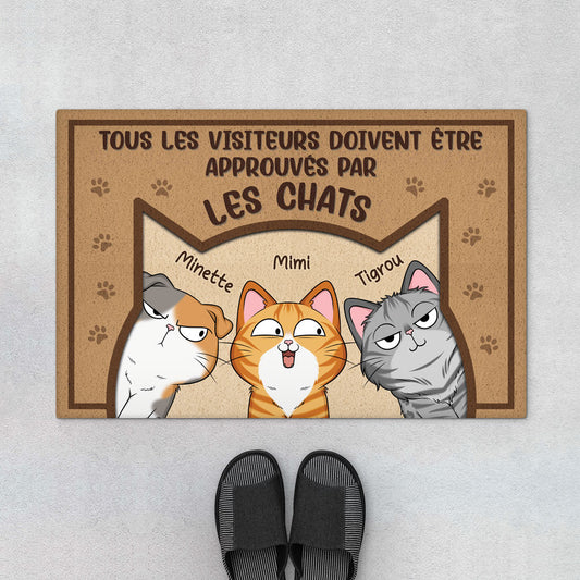 5931DFR1 paillasson chat personnalise tous les visiteurs doivent etre approuves 5931d6tad