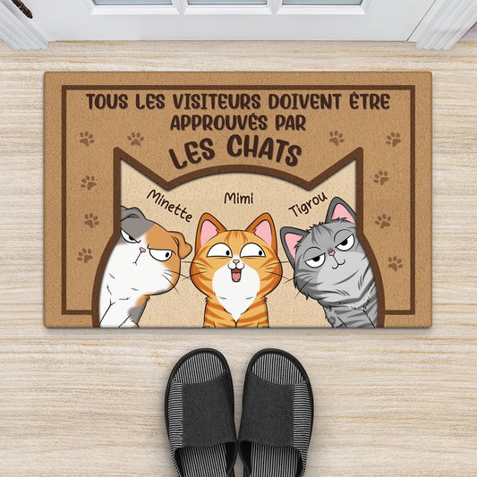 5931DFR2 paillasson chat personnalise tous les visiteurs doivent etre approuves 5931d6tad