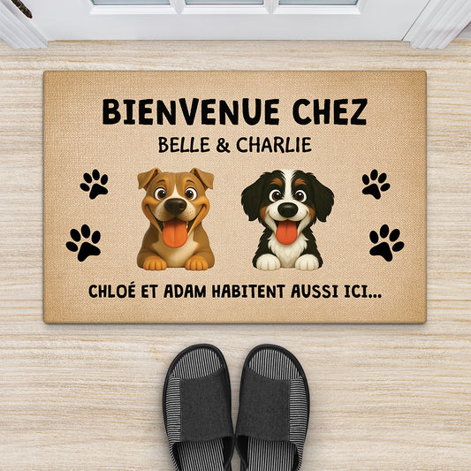 5945DFR2 paillasson personnalise bienvenue chez les chiens 5945dkl0c