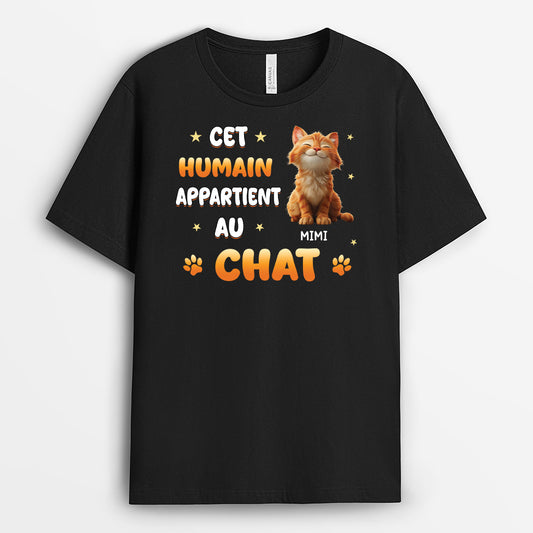 6055AFR1 t shirt personnalise avec chat cet humain appartient a 6055a8ftc