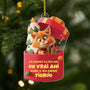6098OFR1 effet dimpression 3d ornement acrylique personnalise pere noel a envoye un chat 6098oklad