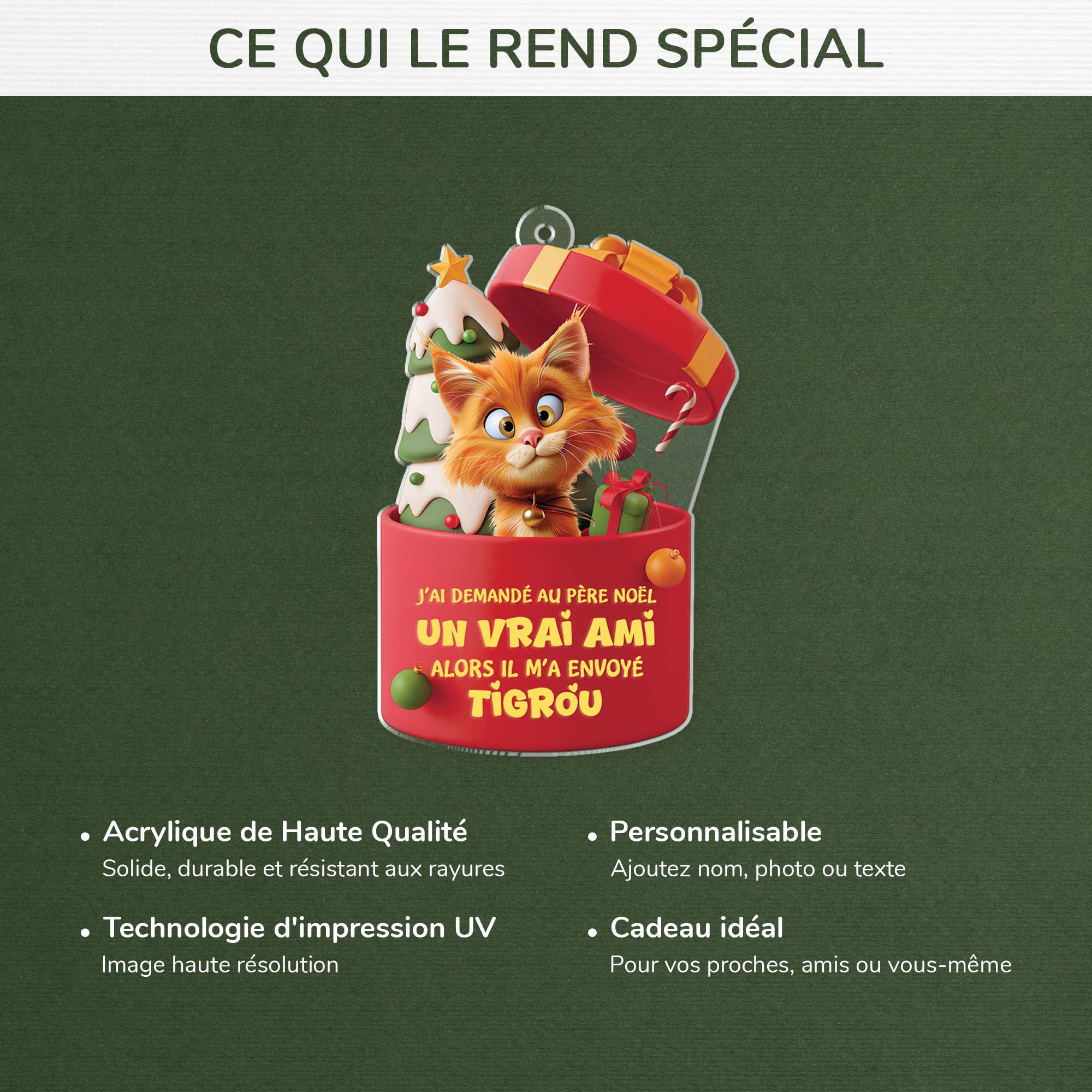 6098OFR4 effet dimpression 3d ornement acrylique personnalise pere noel a envoye un chat 6098oklad