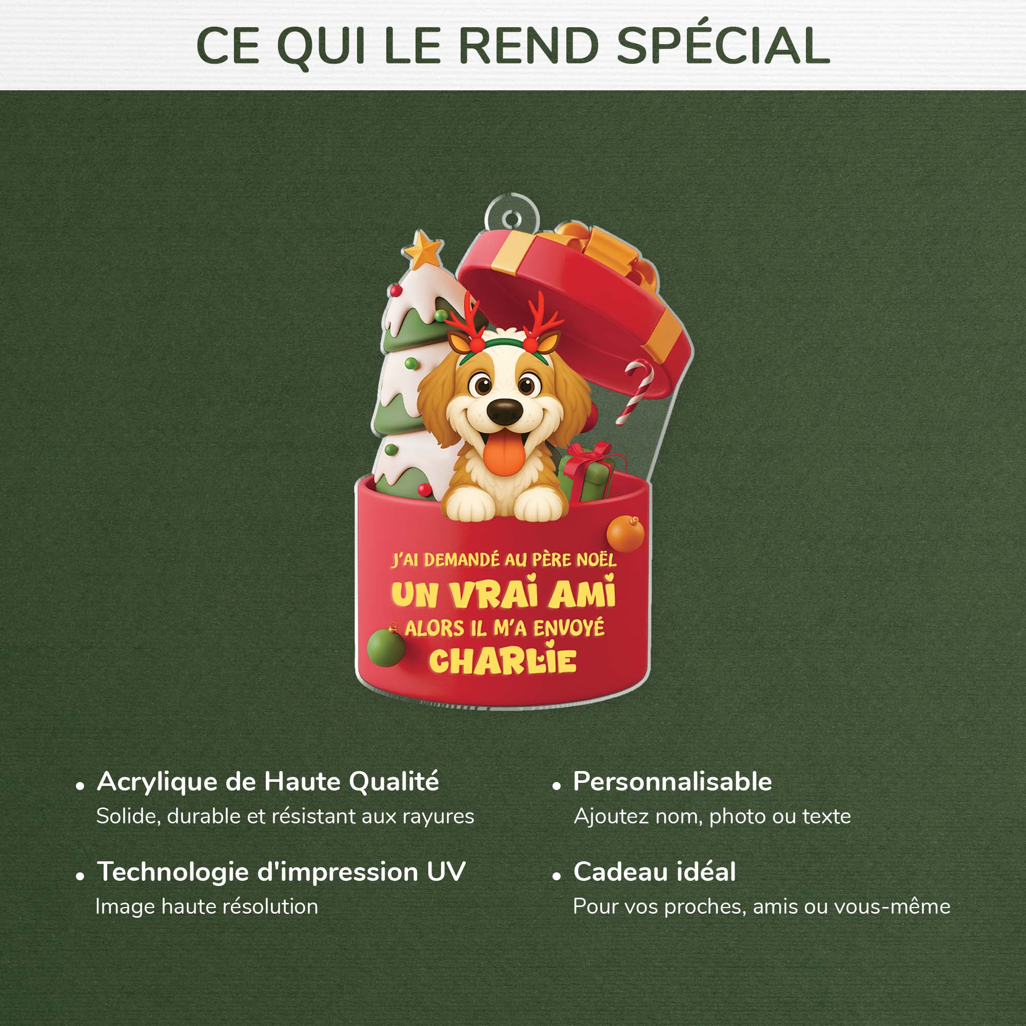 6098OFR4 effet dimpression 3d ornement acrylique personnalise pere noel a envoye un chien 6098oklac