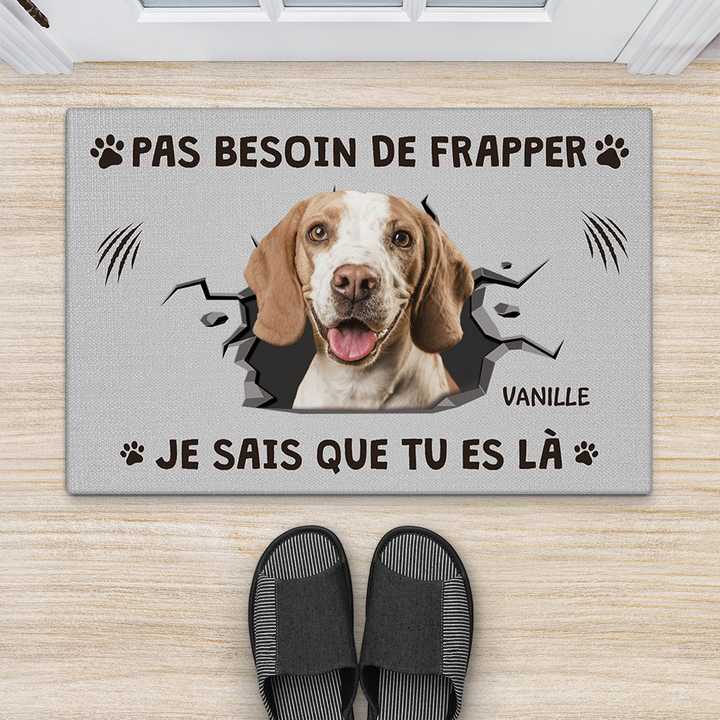6160DFR2 paillasson personnalise chien avec photo pas besoin de frapper 6160d8qnc