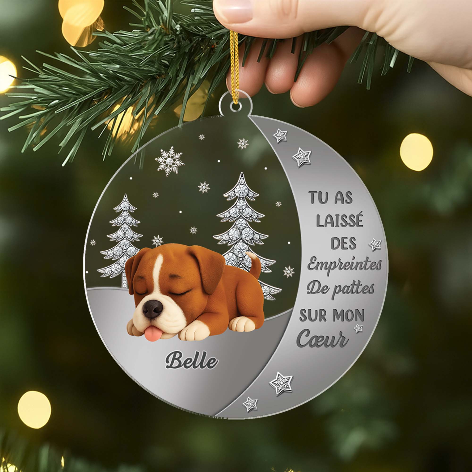 6215OFR2 ornement acrylique personnalise commemoratif pour chien ta lumiere brillera toujours 6215o6stc
