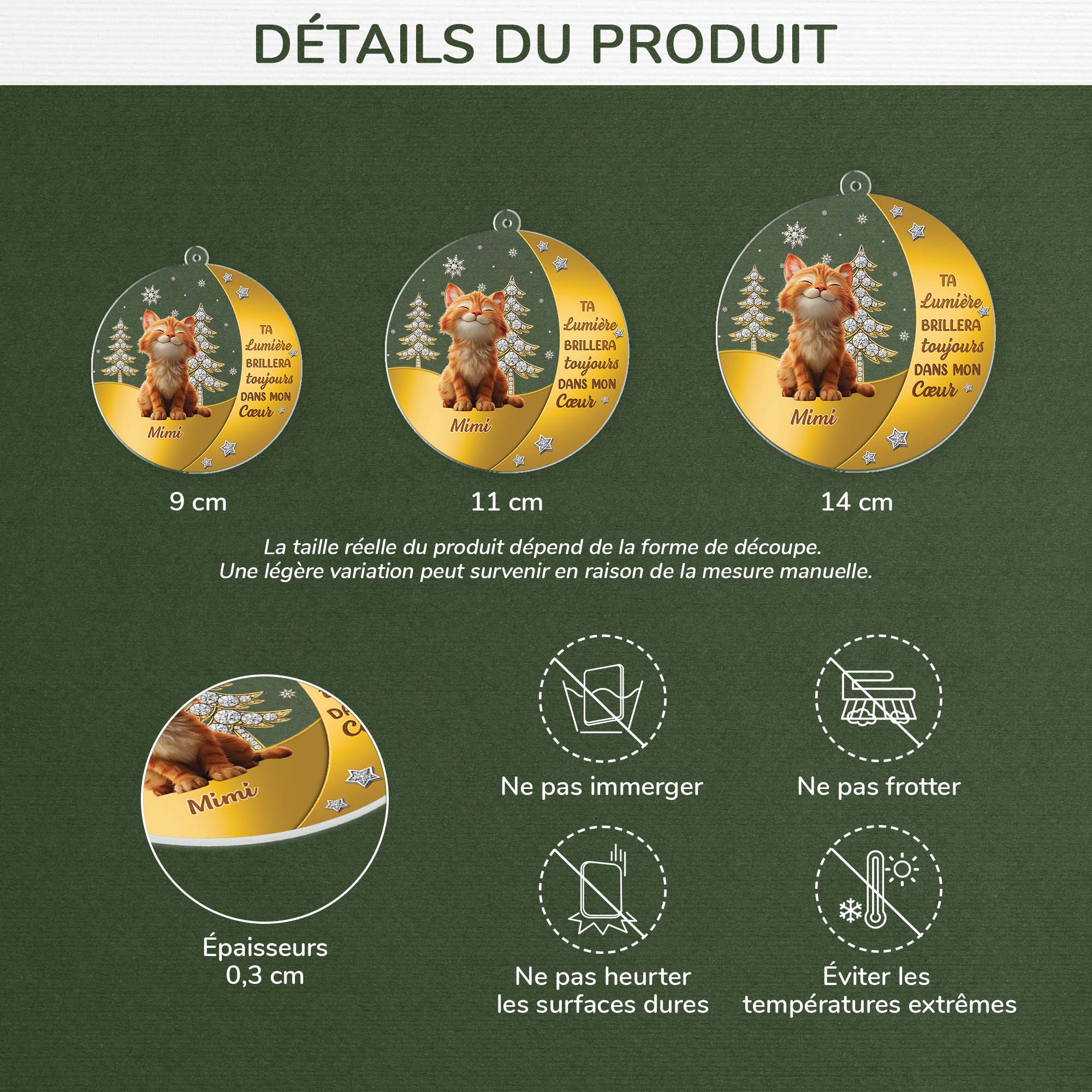 6215OFR3 ornement acrylique personnalise commemoratif pour chat ta lumiere brillera toujours 6215o6std