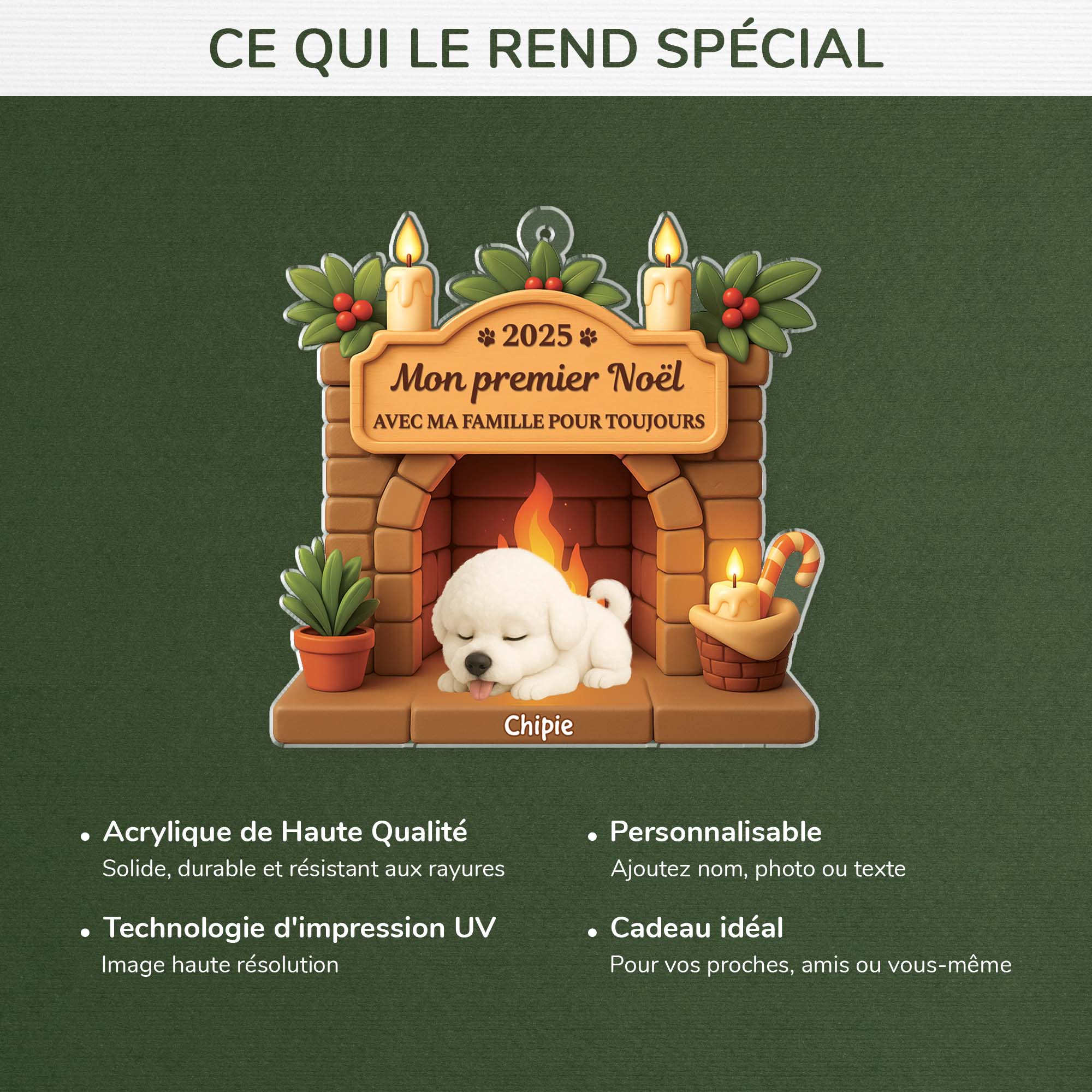 6225OFR4 effet dimpression 3d ornement acrylique personnalise premier noel chien avec ma famille pour toujours 6225o8ttc