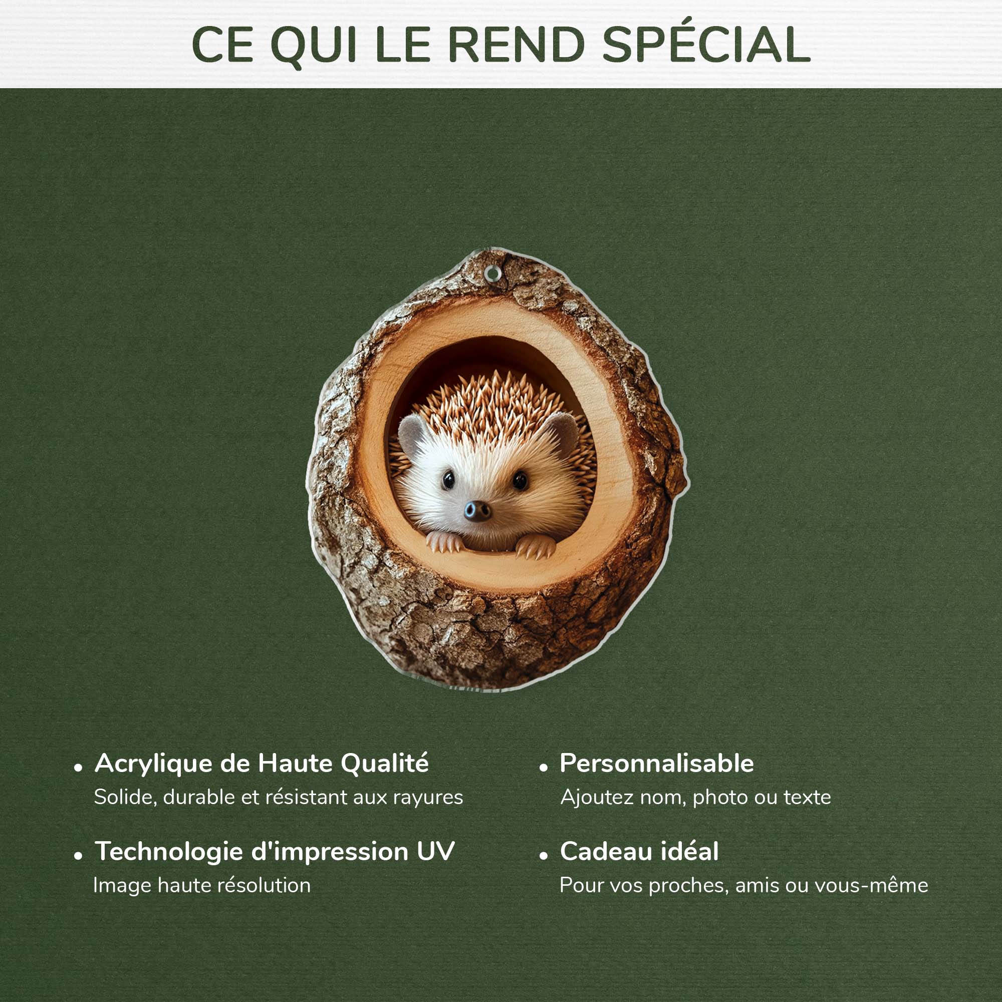 6226OFR4 effet dimpression 3d ornement acrylique personnalise avec photo noel de mon animal de companie 6226o8tca