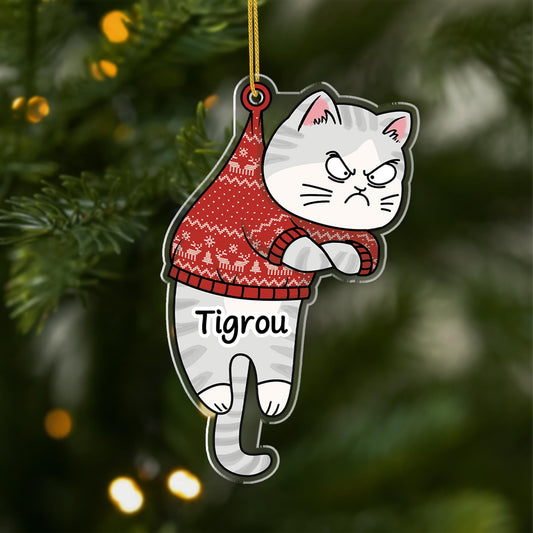 6245OFR1 ornement noel acrylique personnalise mon chat grincheux 6245o8qad