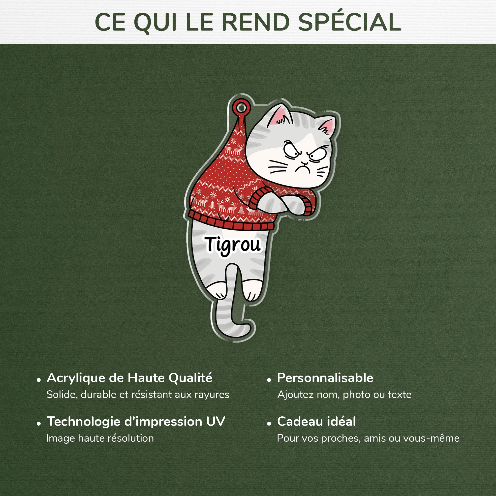 6245OFR4 ornement noel acrylique personnalise mon chat grincheux 6245o8qad
