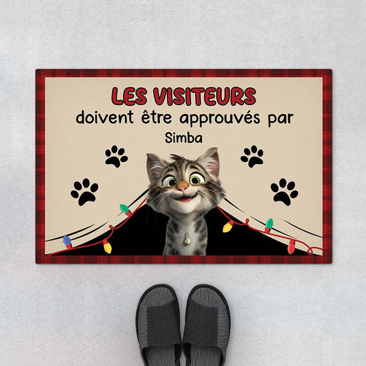 6248DFR1 paillasson personnalise chat noel visiteurs doivent etre approuves par 6248dklnd_1