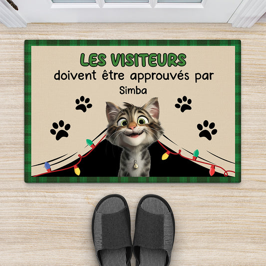 6248DFR1 paillasson personnalise chat noel visiteurs doivent etre approuves par 6248dklnd_2