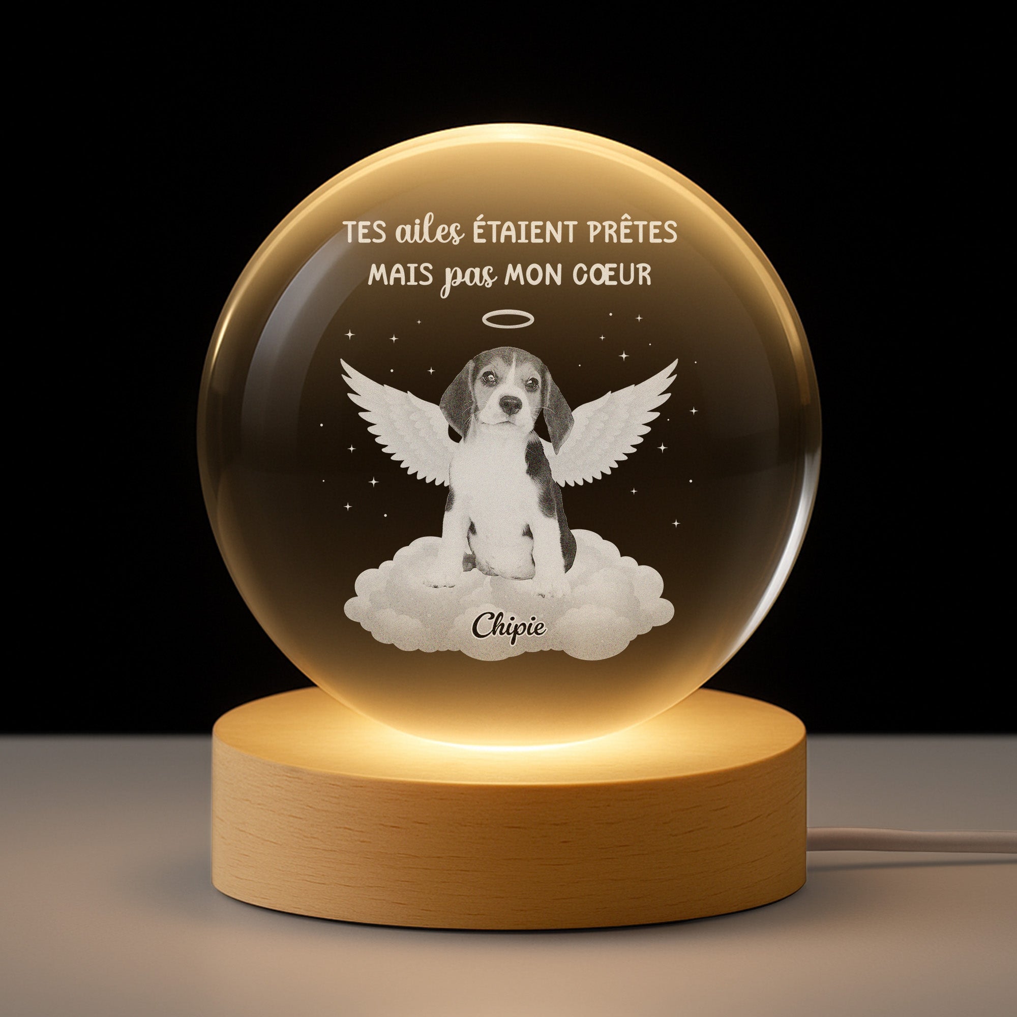 6260LFR1 veilleuse boule de cristal personnalisee pour chien commemorative avec photo tes ailes etaient pretes 6260lkvzc