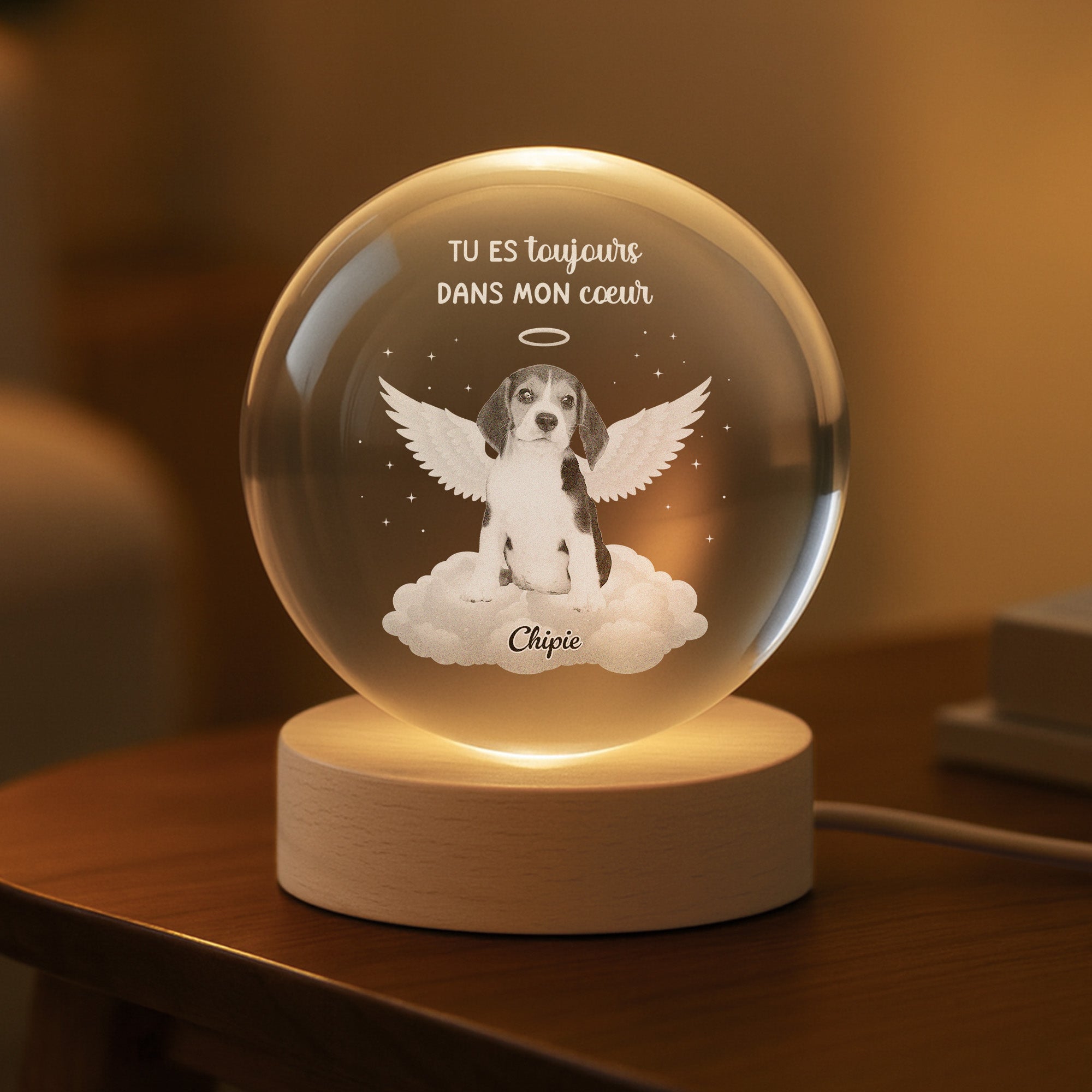 6260LFR2 veilleuse boule de cristal personnalisee pour chien commemorative avec photo tes ailes etaient pretes 6260lkvzc