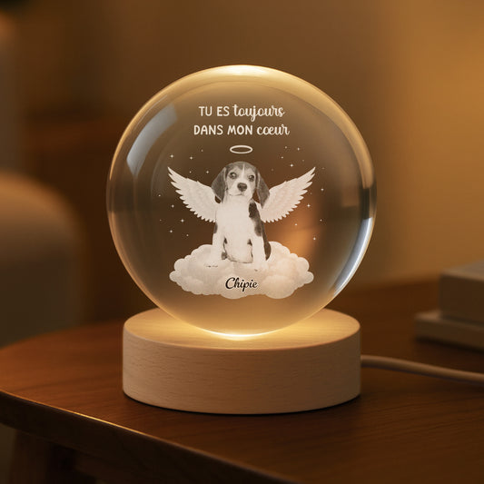 6260LFR2 veilleuse boule de cristal personnalisee pour chien commemorative avec photo tes ailes etaient pretes 6260lkvzc