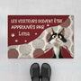 6284DFR1 paillasson personnalise chat avec patte visiteurs doivent etre approuves 6284d3qad