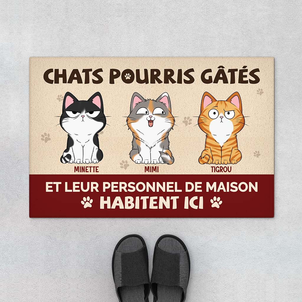 6314DFR1 paillasson personnalise mon chat gate pourri 6314dtq5d_868671c7 ec9a 4bfa b85f b1ce3a2e597b