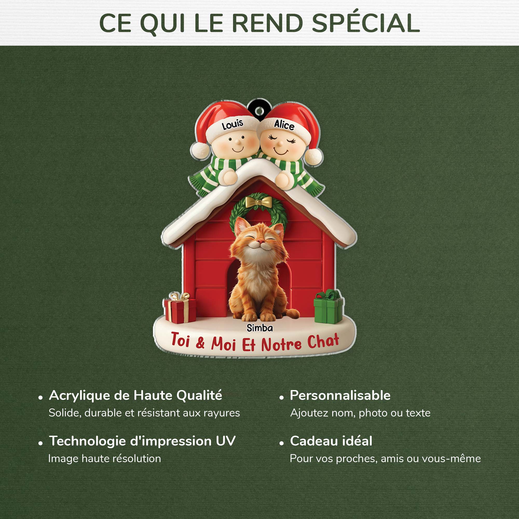 6346OFR4 ornement acrylique personnalise couple homosexuel avec chat maisons de noel 6346otv5d