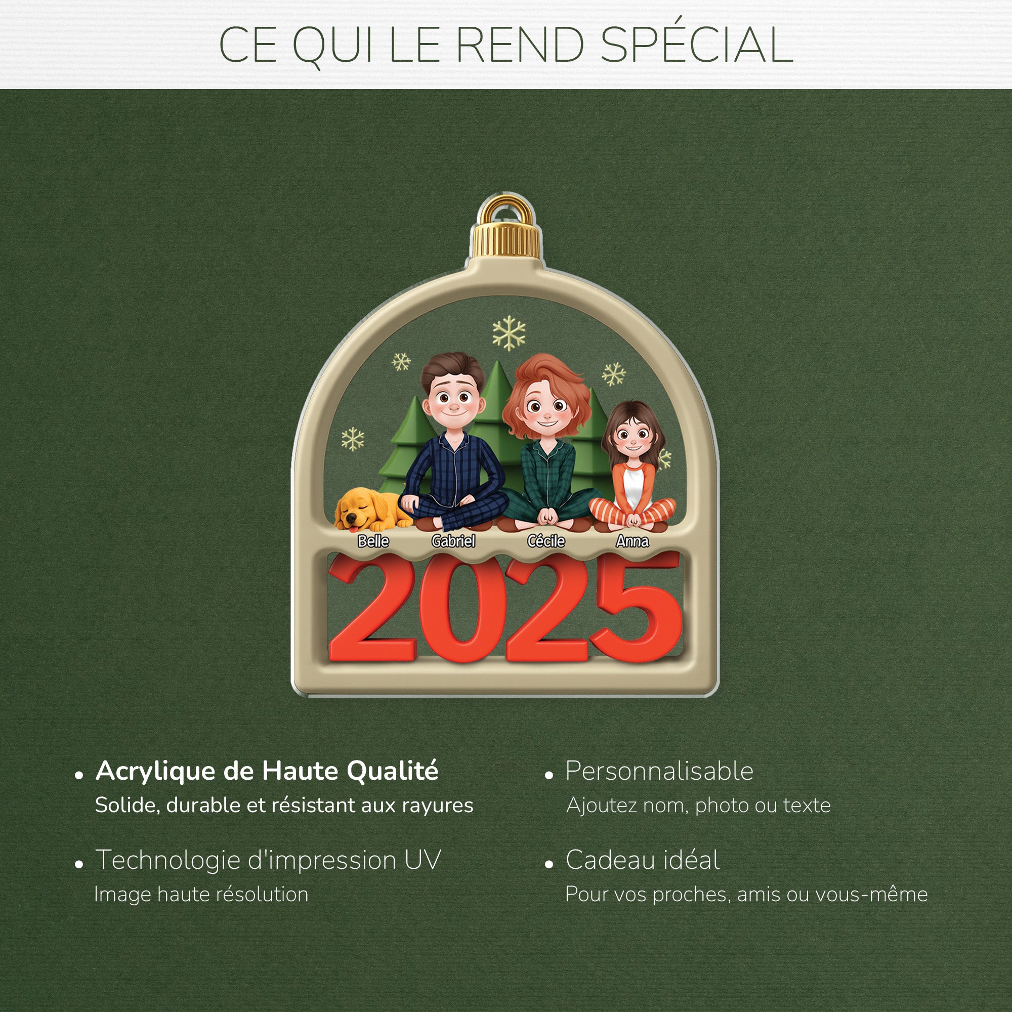 6429OFR4 ornement de noel acrylique personnalise famille avec chien ou chat 6429otqmi