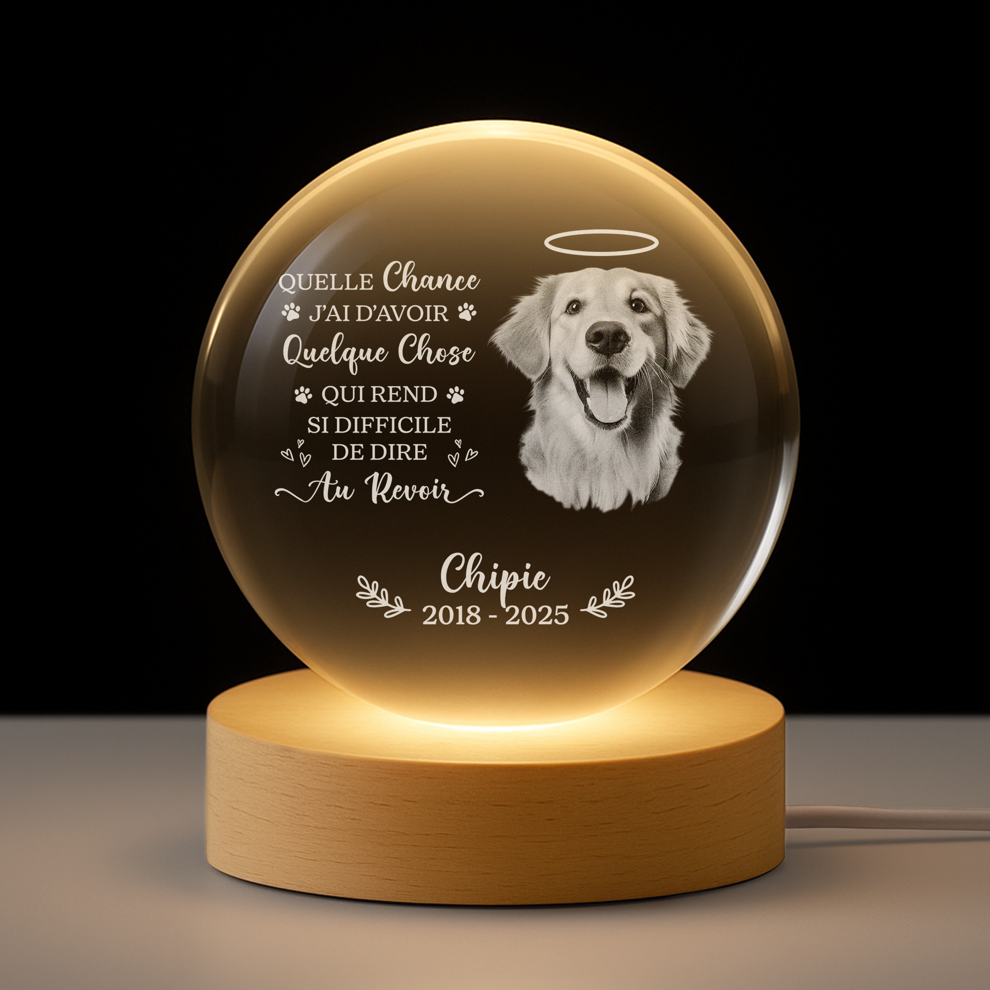 6459LFR1 veilleuse boule de cristal personnalisee chien commemorative avec photo difficile de dire au revoir 6459lkpmc