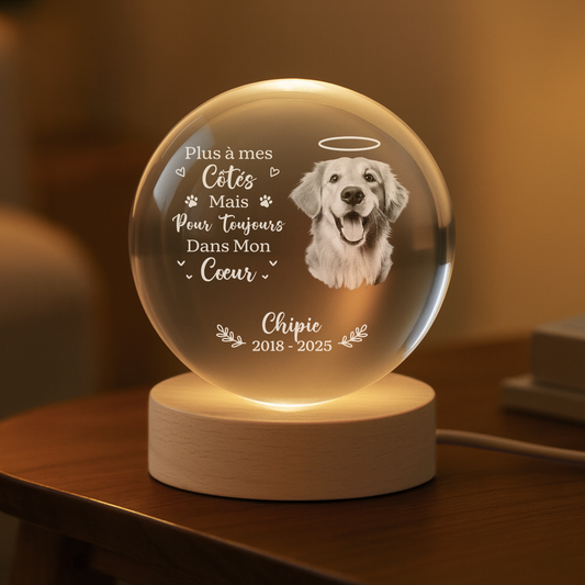 6459LFR2 veilleuse boule de cristal personnalisee chat commemorative avec photo difficile de dire au revoir 6459lkpmc