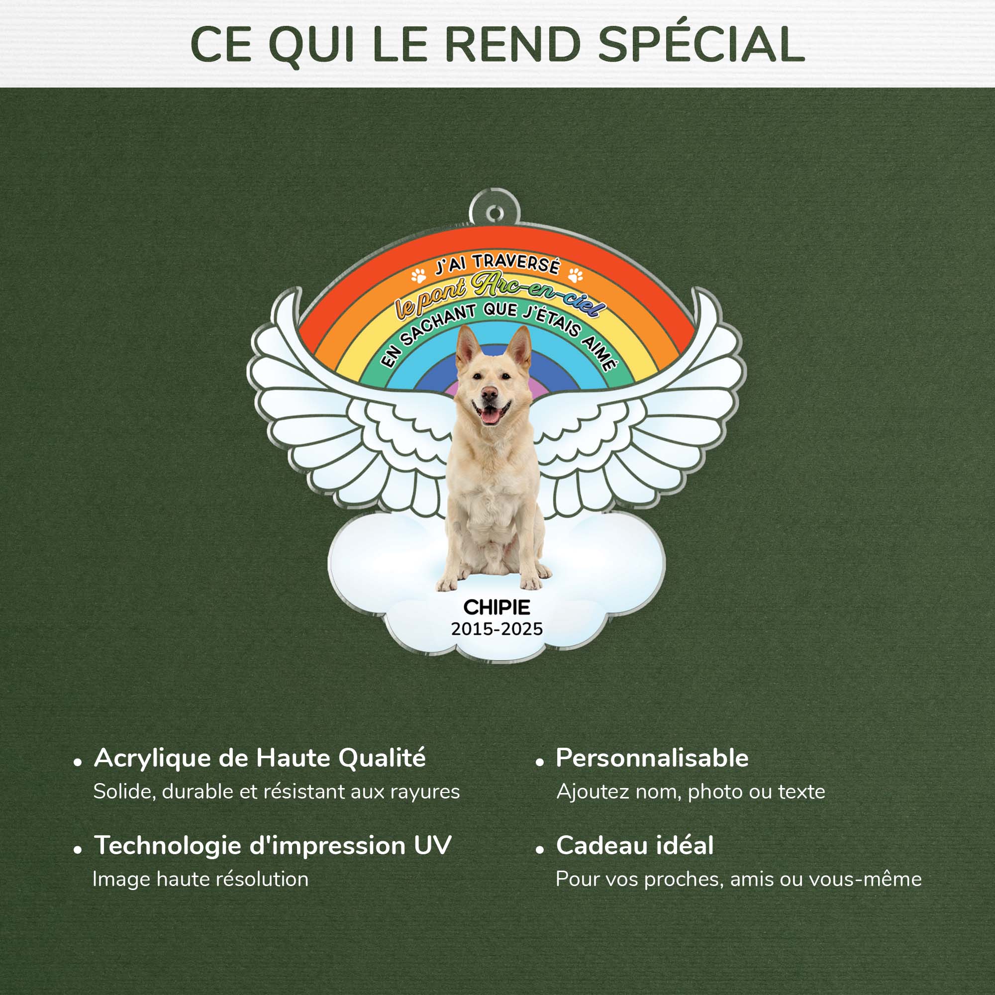 6536OFR4 ornement noel acrylique personnalise commemoratif avec photo le pont de larc en ciel pour chien 6536oktzc