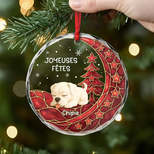 6688OFR1 ornement en verre personnalise noel magique de chien 6688ok6nc2
