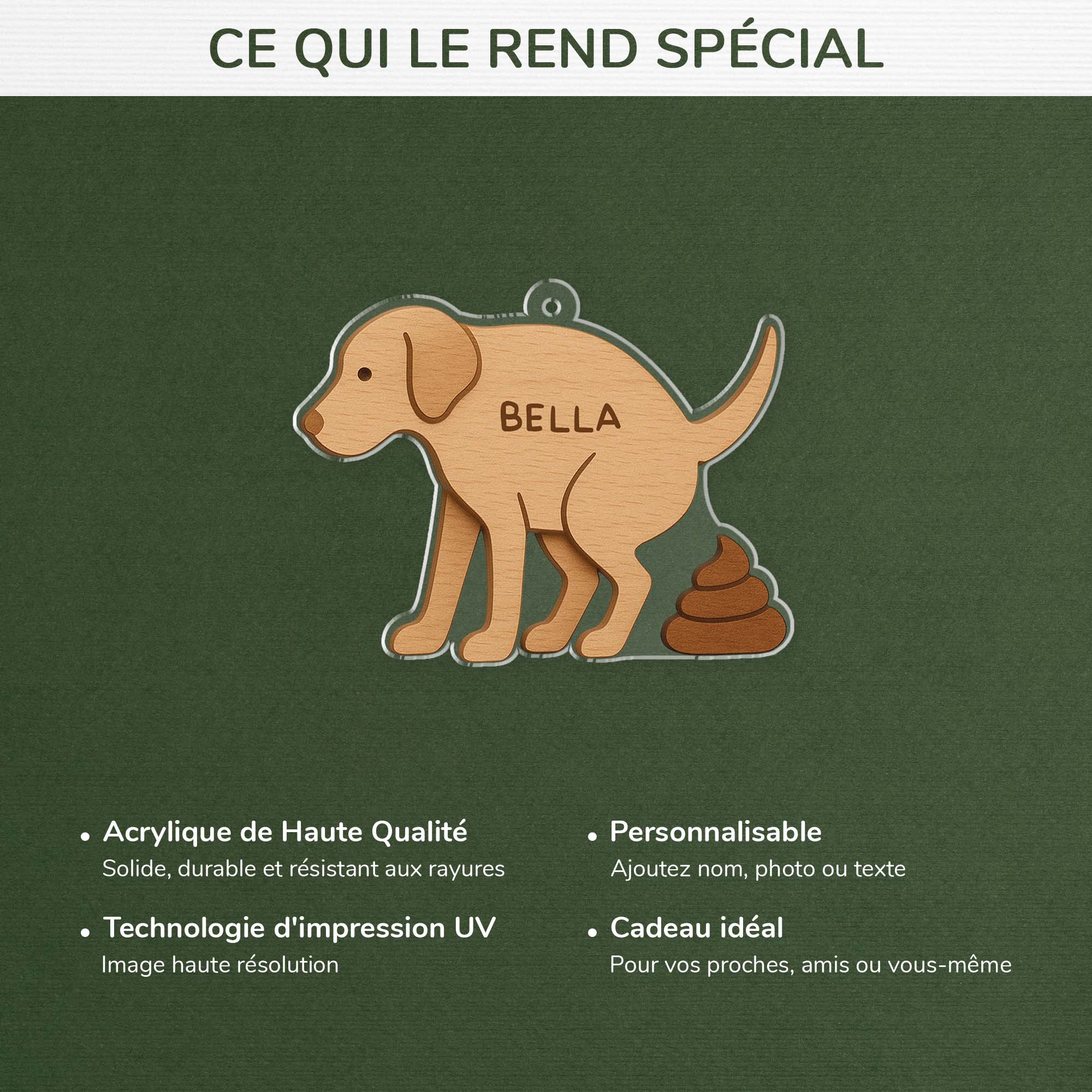 6727OFR4 effet dimpression 3d ornement noel acrylique personnalise chien fait caca 6727o3zqc