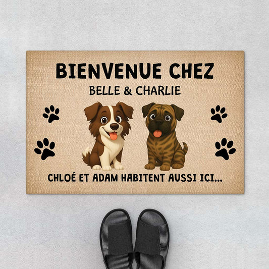 6783DFR1 paillasson personnalise chien bienvenue chez les chiens 6783dkv5c