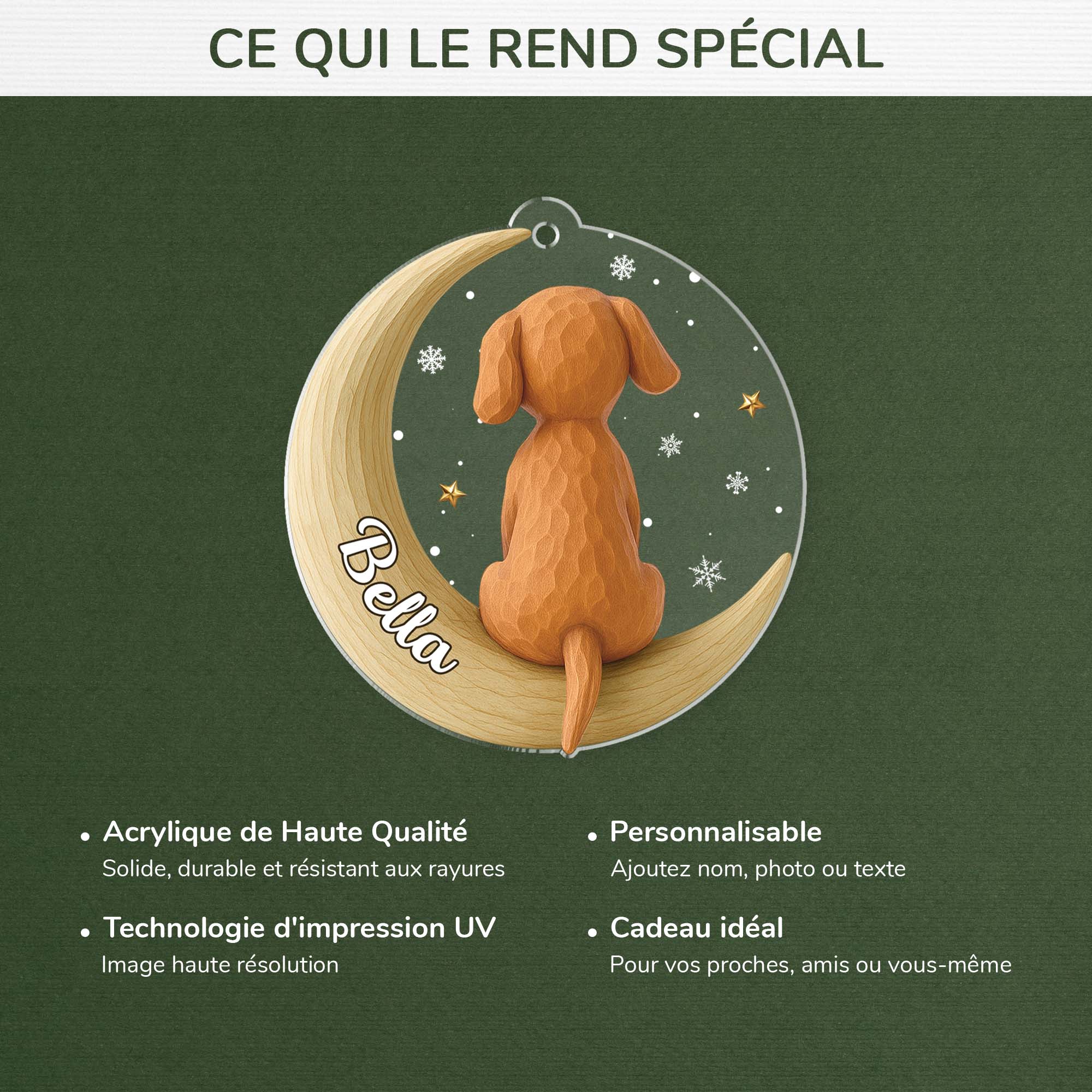 6919OFR4 effet dimpression 3d ornement noel acrylique personnalise boule de noel chien avec la lune 6919o3v5c